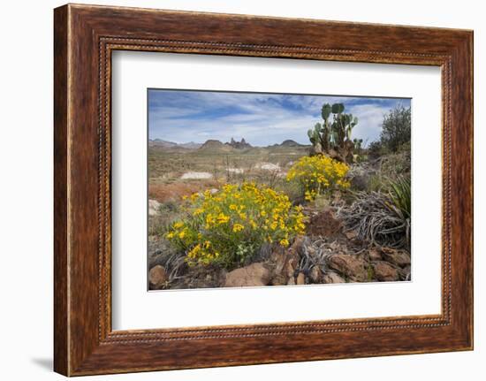 Mule Ears Formation and Wildflowers in Big Bend National Park-Larry Ditto-Framed Photographic Print