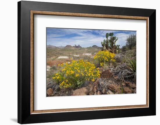 Mule Ears Formation and Wildflowers in Big Bend National Park-Larry Ditto-Framed Photographic Print