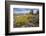 Mule Ears Formation and Wildflowers in Big Bend National Park-Larry Ditto-Framed Photographic Print