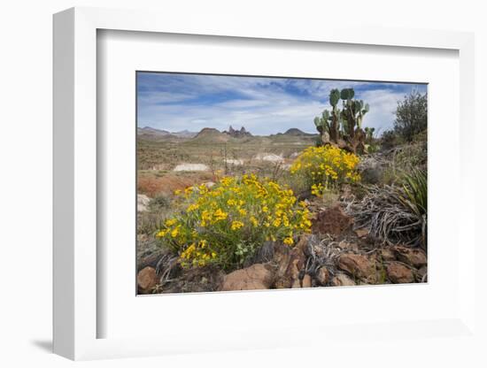 Mule Ears Formation and Wildflowers in Big Bend National Park-Larry Ditto-Framed Photographic Print