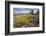 Mule Ears Formation and Wildflowers in Big Bend National Park-Larry Ditto-Framed Photographic Print