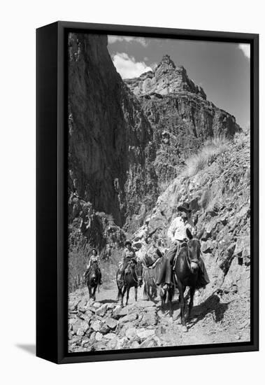 Mule Riders on Kaibab Trail-Philip Gendreau-Framed Premier Image Canvas