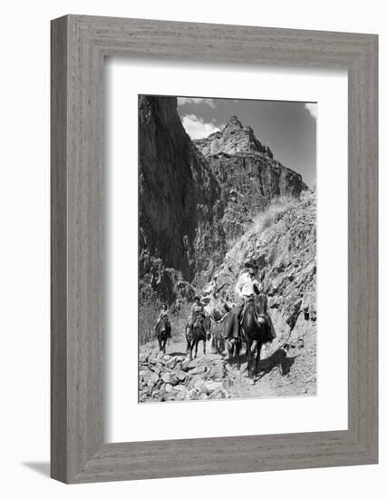 Mule Riders on Kaibab Trail-Philip Gendreau-Framed Photographic Print