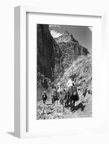 Mule Riders on Kaibab Trail-Philip Gendreau-Framed Photographic Print