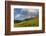 Mule's ear (Wyethia arizonica) in Rocky Mountains.-Larry Ditto-Framed Photographic Print