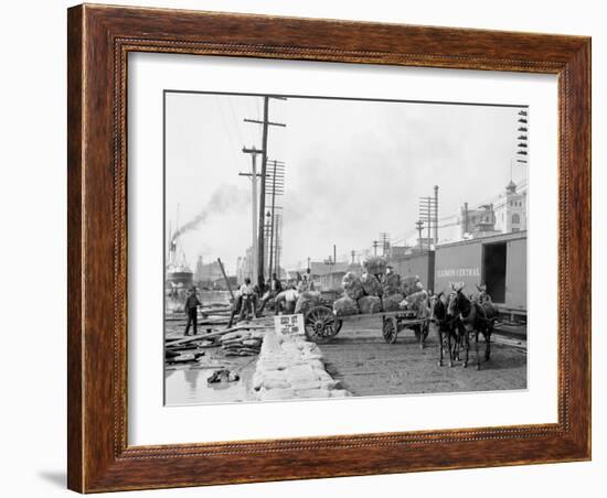 Mule Teams and the Levee, New Orleans, Louisiana-null-Framed Photo