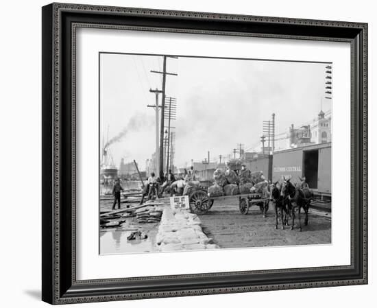 Mule Teams and the Levee, New Orleans, Louisiana-null-Framed Photo