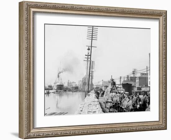 Mule Teams on the Levee, New Orleans, La.-null-Framed Photo