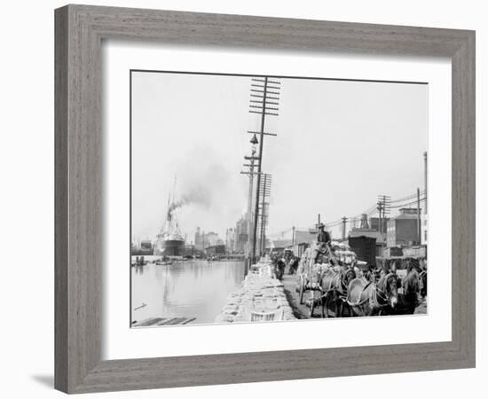 Mule Teams on the Levee, New Orleans, La.-null-Framed Photo