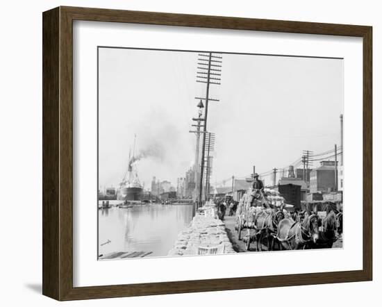 Mule Teams on the Levee, New Orleans, La.-null-Framed Photo