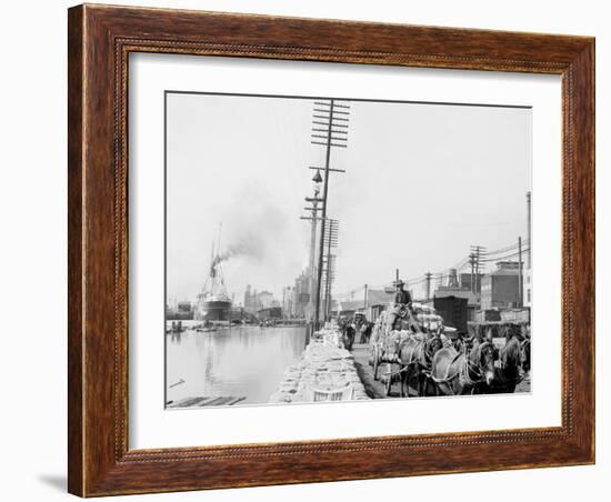 Mule Teams on the Levee, New Orleans, La.-null-Framed Photo