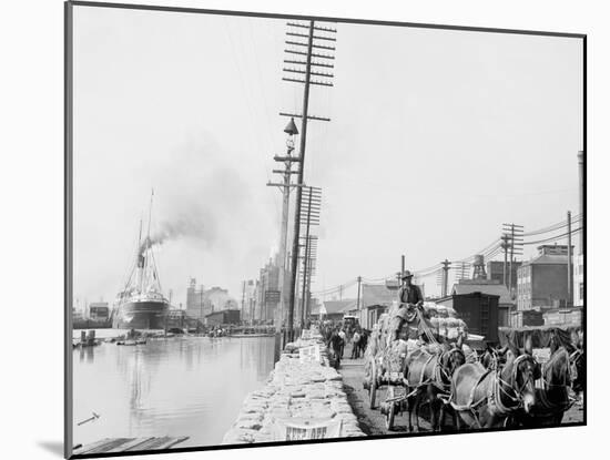 Mule Teams on the Levee, New Orleans, La.-null-Mounted Photo