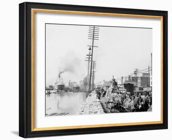 Mule Teams on the Levee, New Orleans, La.-null-Framed Photo