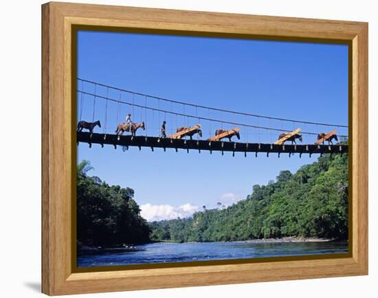 Mule Train Crossing a Bridge over the Rio Upano, Moreno Santiago Province, Ecuador-Paul Harris-Framed Premier Image Canvas