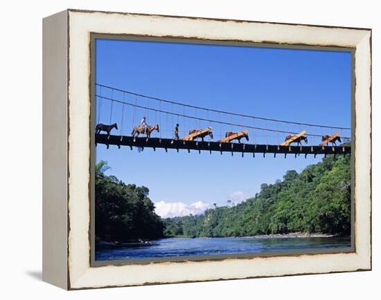 Mule Train Crossing a Bridge over the Rio Upano, Moreno Santiago Province, Ecuador-Paul Harris-Framed Premier Image Canvas