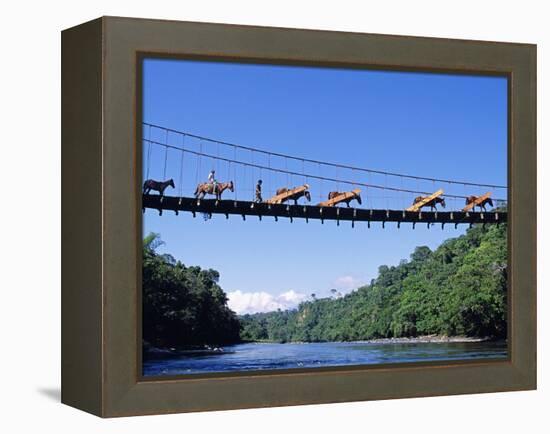 Mule Train Crossing a Bridge over the Rio Upano, Moreno Santiago Province, Ecuador-Paul Harris-Framed Premier Image Canvas