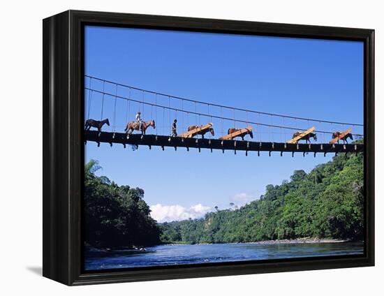 Mule Train Crossing a Bridge over the Rio Upano, Moreno Santiago Province, Ecuador-Paul Harris-Framed Premier Image Canvas