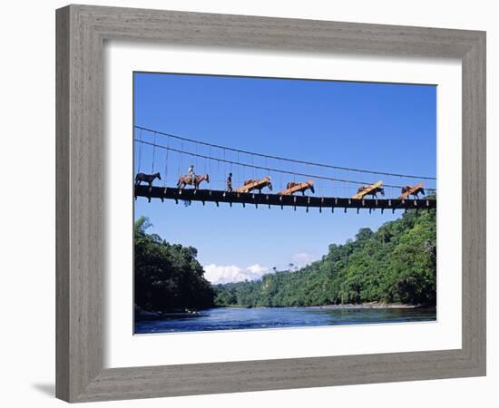 Mule Train Crossing a Bridge over the Rio Upano, Moreno Santiago Province, Ecuador-Paul Harris-Framed Photographic Print