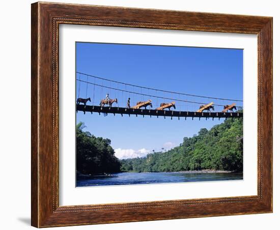 Mule Train Crossing a Bridge over the Rio Upano, Moreno Santiago Province, Ecuador-Paul Harris-Framed Photographic Print