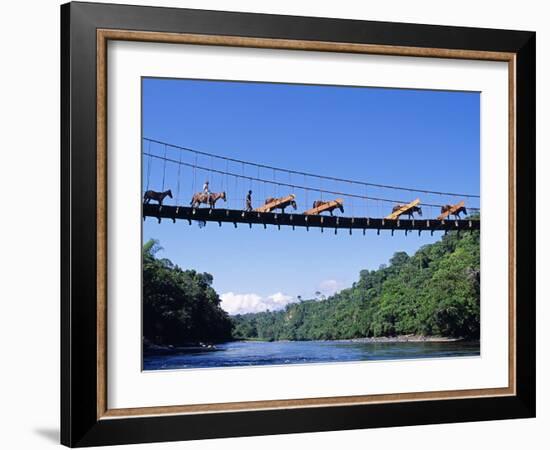 Mule Train Crossing a Bridge over the Rio Upano, Moreno Santiago Province, Ecuador-Paul Harris-Framed Photographic Print