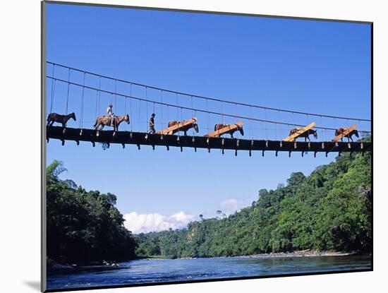 Mule Train Crossing a Bridge over the Rio Upano, Moreno Santiago Province, Ecuador-Paul Harris-Mounted Photographic Print