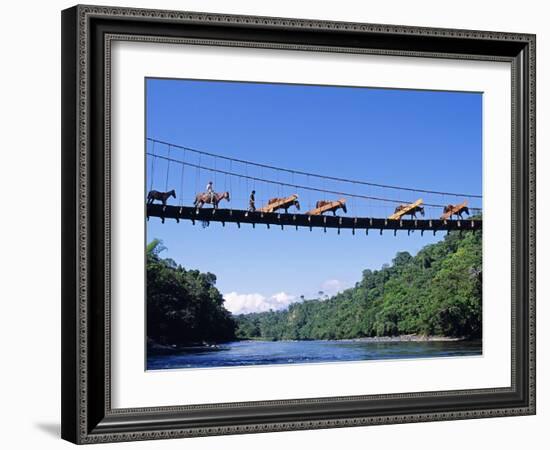 Mule Train Crossing a Bridge over the Rio Upano, Moreno Santiago Province, Ecuador-Paul Harris-Framed Photographic Print