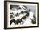 Mule Train Going to the Silver Mines of Colorado-null-Framed Giclee Print