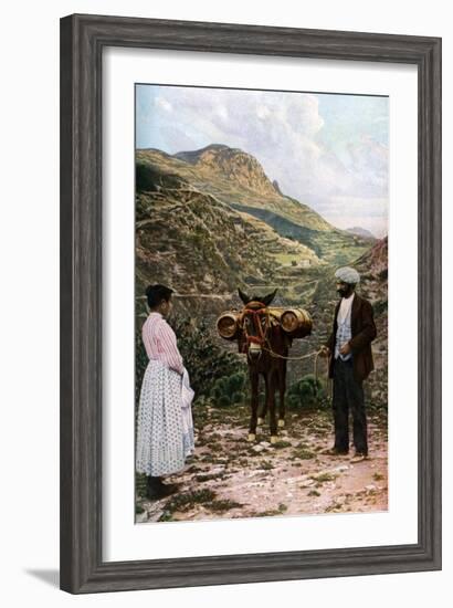 Mule with Water Kegs, Sicily, Italy, C1923-AW Cutler-Framed Giclee Print