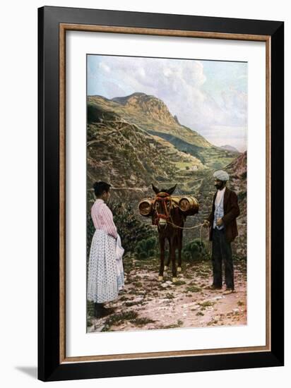 Mule with Water Kegs, Sicily, Italy, C1923-AW Cutler-Framed Giclee Print