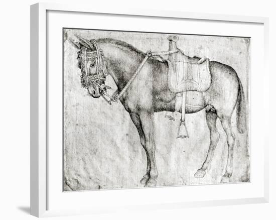 Mule-Antonio Pisani Pisanello-Framed Giclee Print