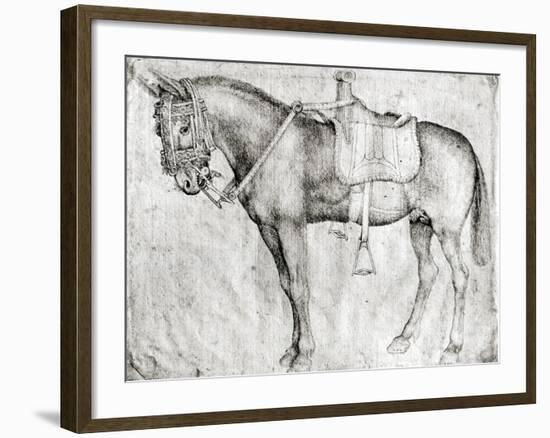 Mule-Antonio Pisani Pisanello-Framed Giclee Print