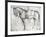 Mule-Antonio Pisani Pisanello-Framed Giclee Print
