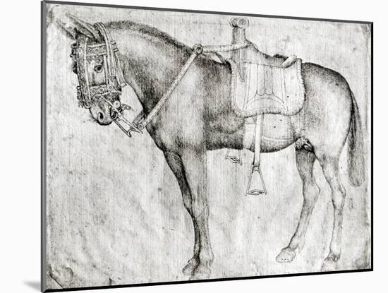 Mule-Antonio Pisani Pisanello-Mounted Giclee Print