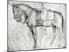 Mule-Antonio Pisani Pisanello-Mounted Giclee Print