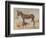 Mule-null-Framed Giclee Print