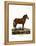 Mule-null-Framed Premier Image Canvas