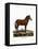 Mule-null-Framed Premier Image Canvas