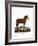 Mule-null-Framed Giclee Print