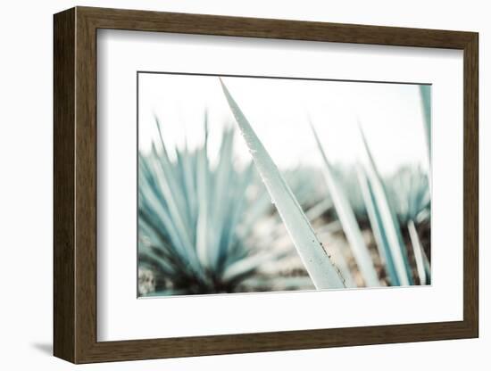 Mulege-Krista Broadway-Framed Photographic Print