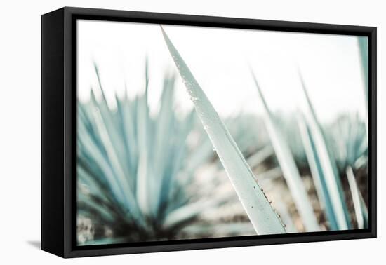 Mulege-Krista Broadway-Framed Premier Image Canvas