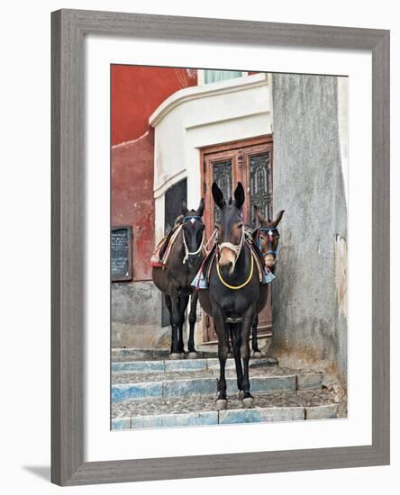 Mules, Imerovigli, Santorini, Greece-Adam Jones-Framed Photographic Print