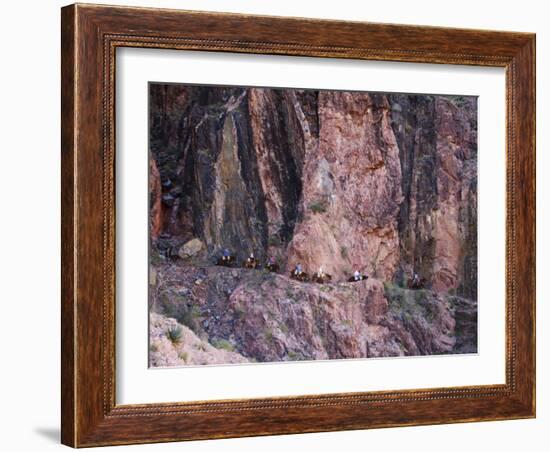 Mules Taking Tourists Along the Colorado River Trail, Grand Canyon, Arizona, USA-Kober Christian-Framed Photographic Print