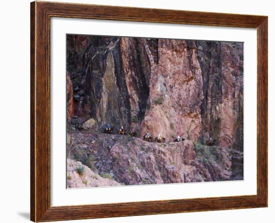 Mules Taking Tourists Along the Colorado River Trail, Grand Canyon, Arizona, USA-Kober Christian-Framed Photographic Print