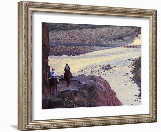 Mules Taking Tourists Along the Colorado River Trail, Grand Canyon, Arizona, USA-Kober Christian-Framed Photographic Print