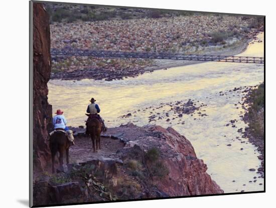 Mules Taking Tourists Along the Colorado River Trail, Grand Canyon, Arizona, USA-Kober Christian-Mounted Photographic Print