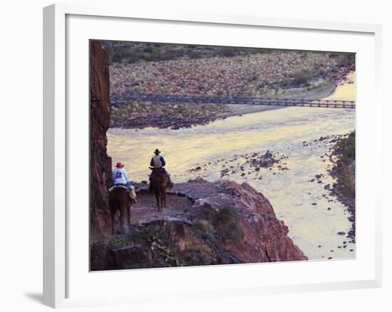 Mules Taking Tourists Along the Colorado River Trail, Grand Canyon, Arizona, USA-Kober Christian-Framed Photographic Print