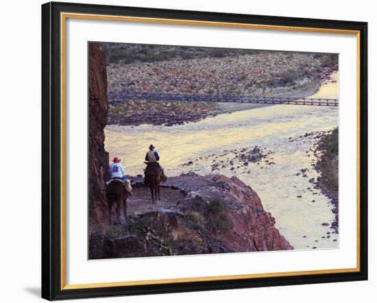 Mules Taking Tourists Along the Colorado River Trail, Grand Canyon, Arizona, USA-Kober Christian-Framed Photographic Print