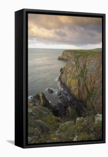 Mull of Galloway, Rhins of Galloway, Dumfries and Galloway, Scotland, UK-Gary Cook-Framed Premier Image Canvas