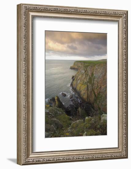 Mull of Galloway, Rhins of Galloway, Dumfries and Galloway, Scotland, UK-Gary Cook-Framed Photographic Print