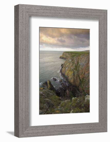 Mull of Galloway, Rhins of Galloway, Dumfries and Galloway, Scotland, UK-Gary Cook-Framed Photographic Print